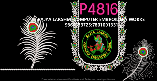 P4816 P4816